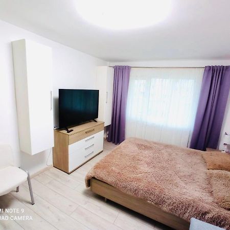 Апартаменти Garsoniera Daniela Тиргу-Окна Екстер'єр фото