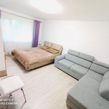 Апартаменти Garsoniera Daniela Тиргу-Окна Екстер'єр фото