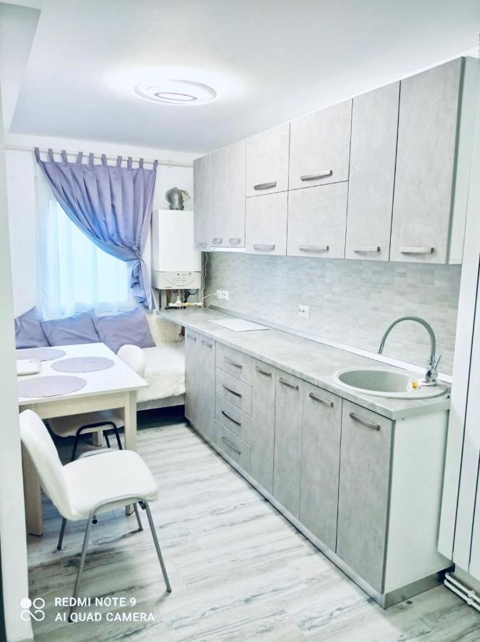 Апартаменти Garsoniera Daniela Тиргу-Окна Екстер'єр фото