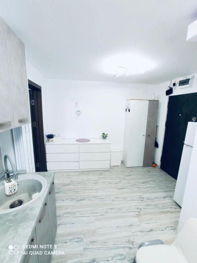 Апартаменти Garsoniera Daniela Тиргу-Окна Екстер'єр фото